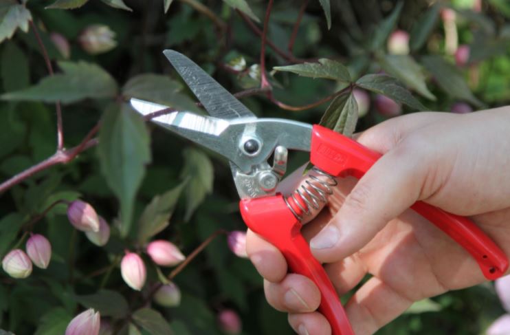 ARS 140DX 直咀樹枝剪